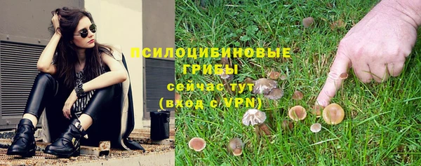 тгк Елизово