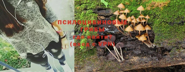 круглые Гусиноозёрск