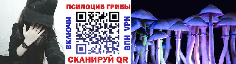 Купить  Кинель  Псилоцибиновые грибы Magic Shrooms 